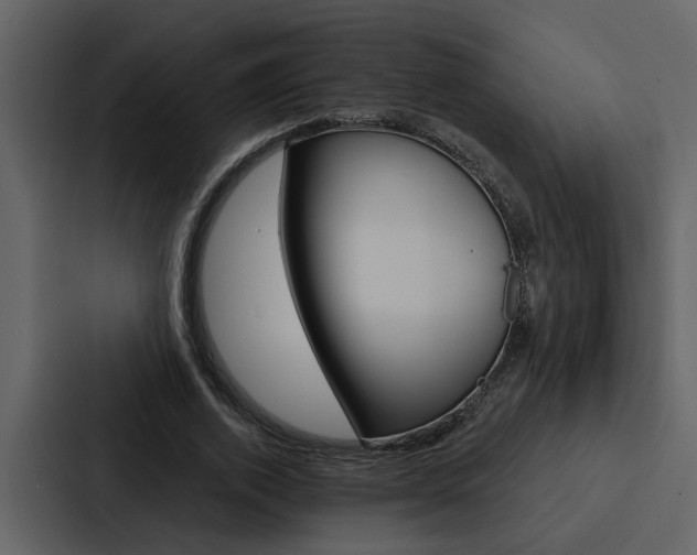X0000088140728200705141031