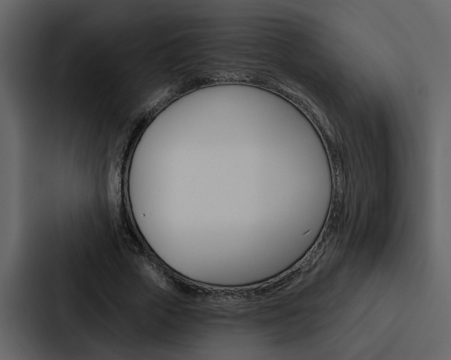 X0000088140729200705141031