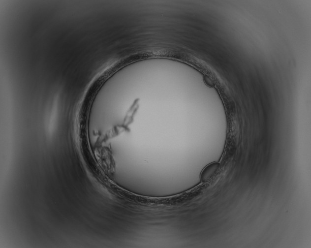 X0000088140730200705141031