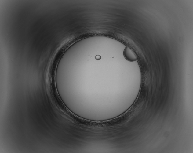 X0000088140731200705141031