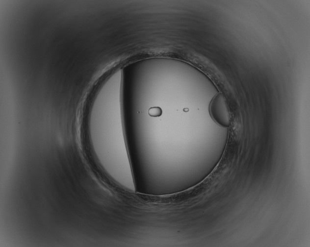 X0000088140732200705141031