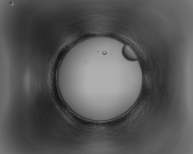 X0000088140735200705141031