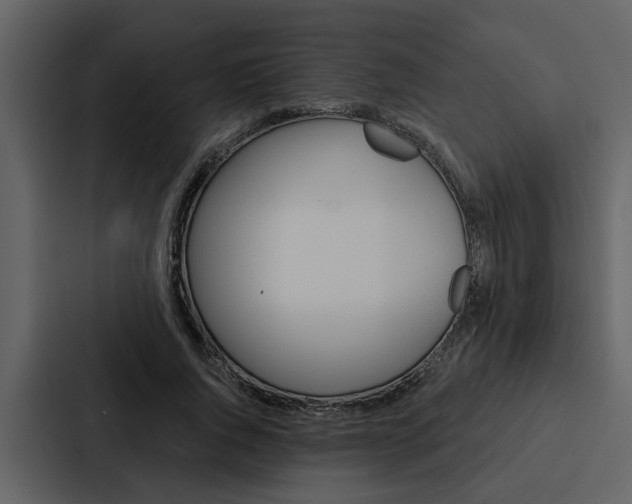 X0000088140736200705141031