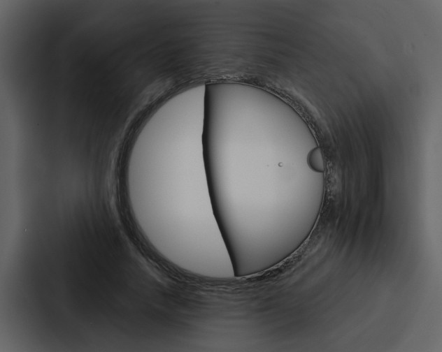 X0000088140738200705141031