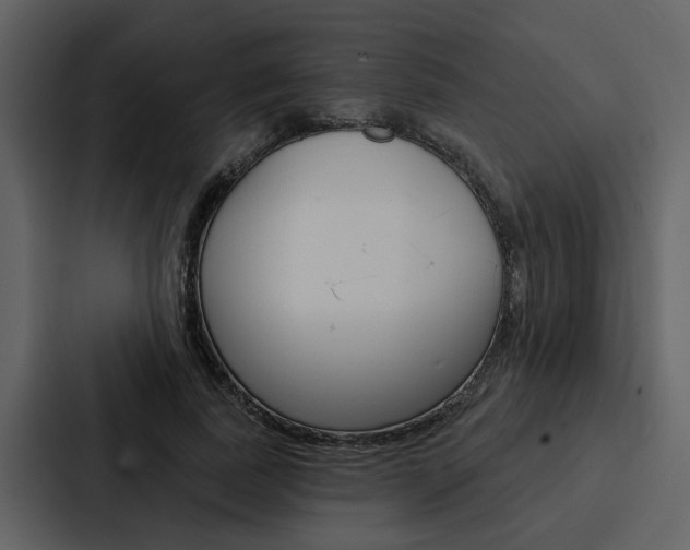 X0000088140739200705141031