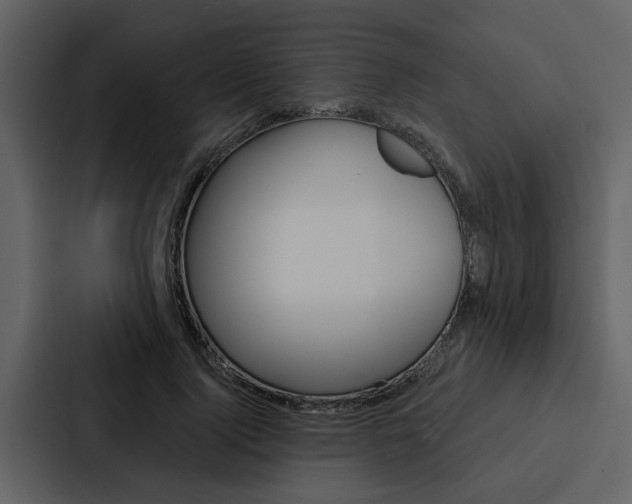 X0000088140740200705141031