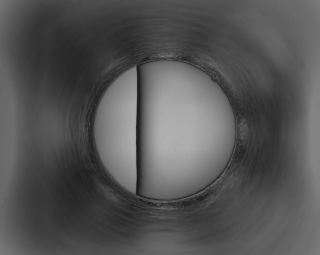 X0000088140741200705141031