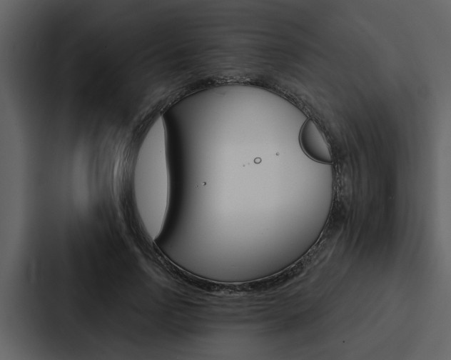 X0000088140742200705141031