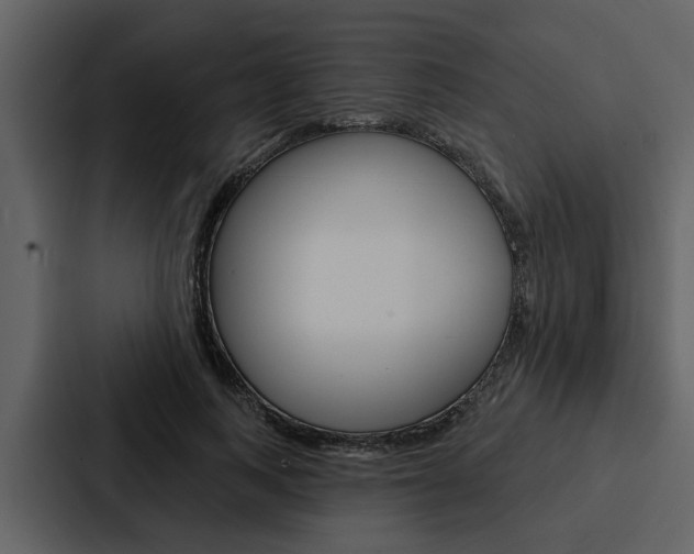X0000088140743200705141031