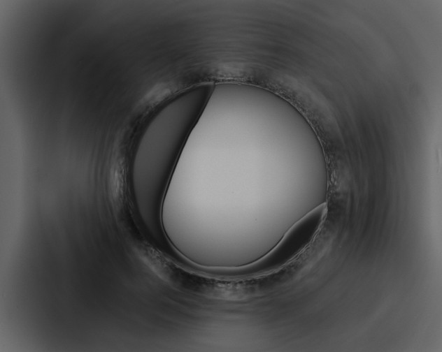 X0000088140744200705141031