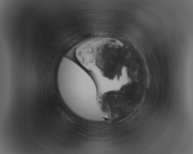 X0000088140745200705141031