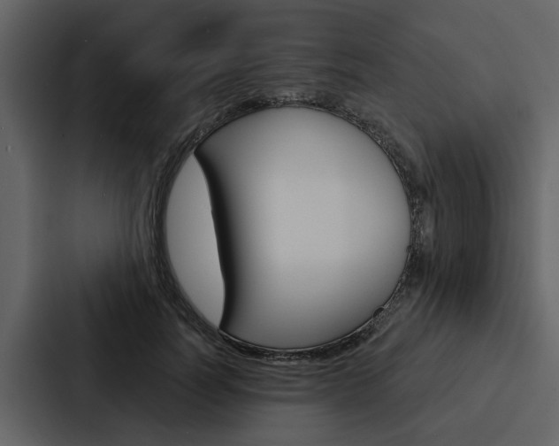 X0000088140746200705141031