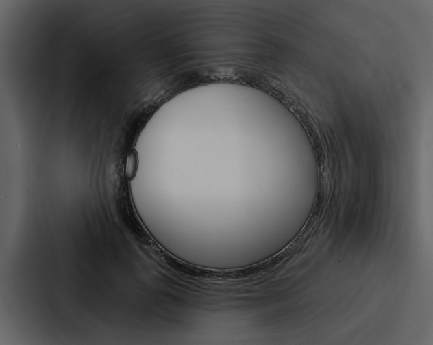 X0000088140747200705141031