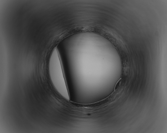 X0000088140748200705141031