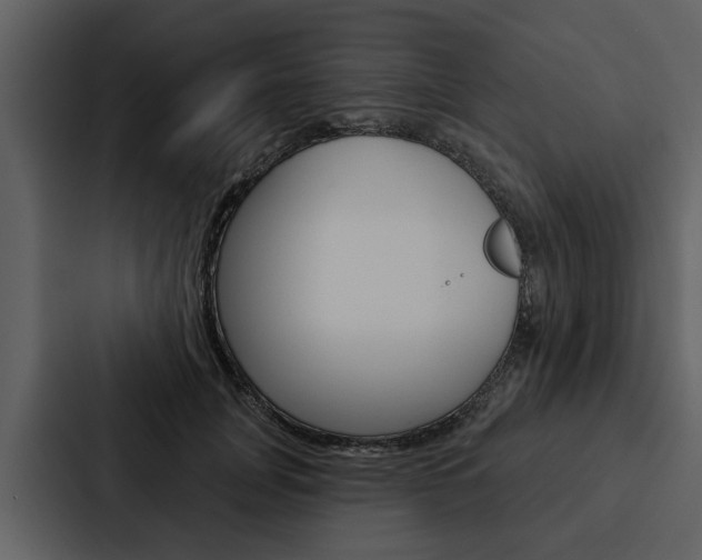 X0000088140751200705141031