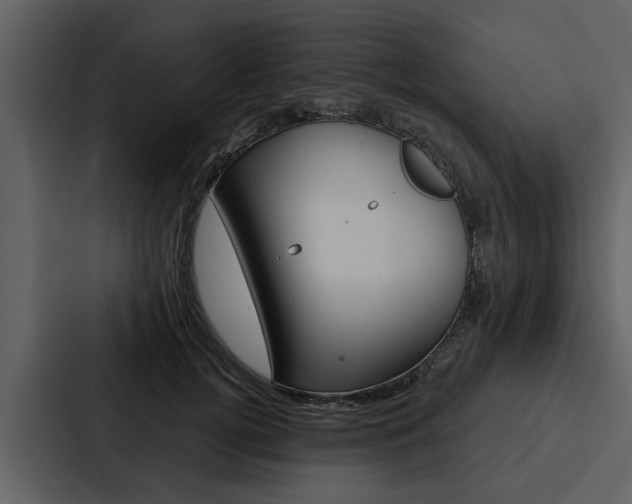 X0000088140752200705141031