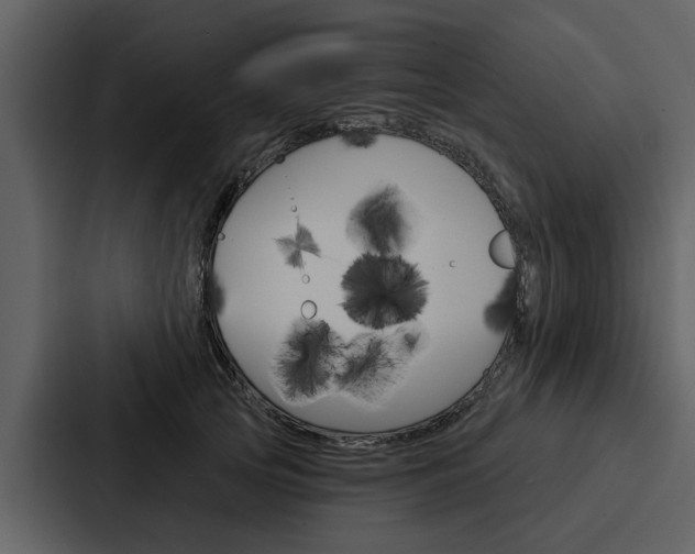 X0000088140753200705141031