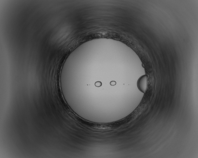 X0000088140754200705141031