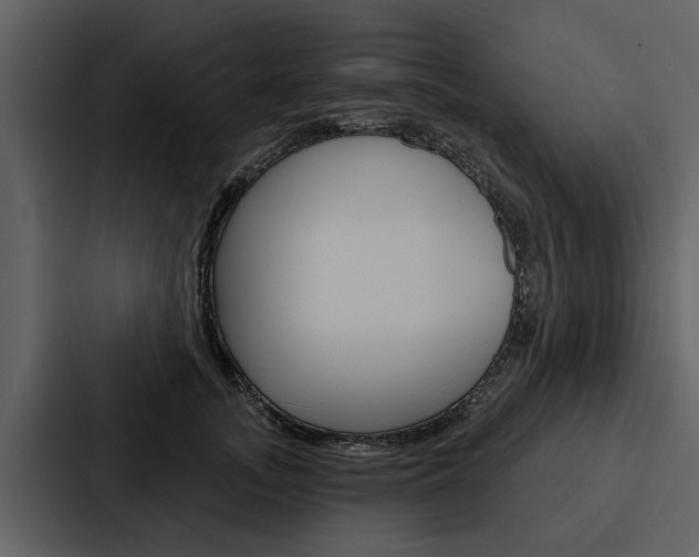 X0000088140755200705141031