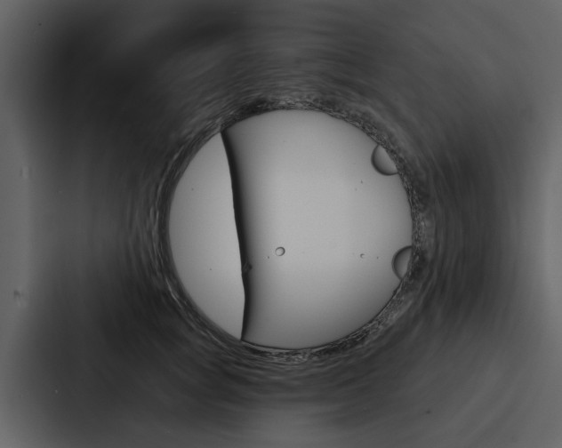 X0000088140757200705141031