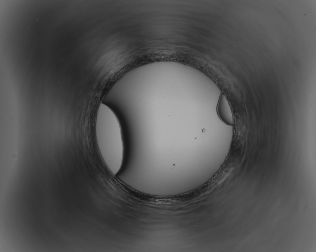X0000088140758200705141031