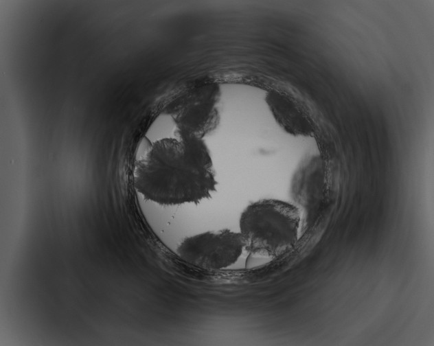 X0000088140761200705141031