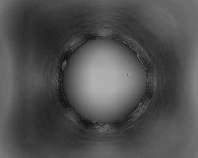 X0000088140762200705141031