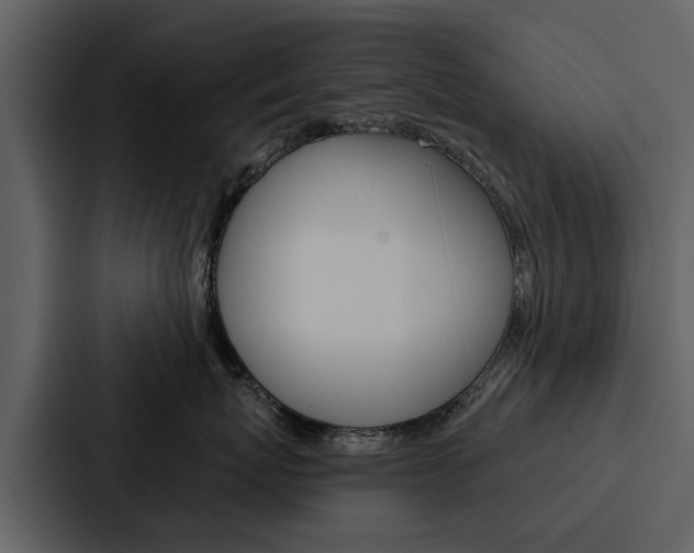X0000088140767200705141031