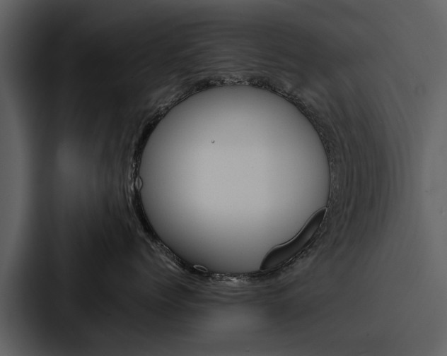 X0000088140768200705141031