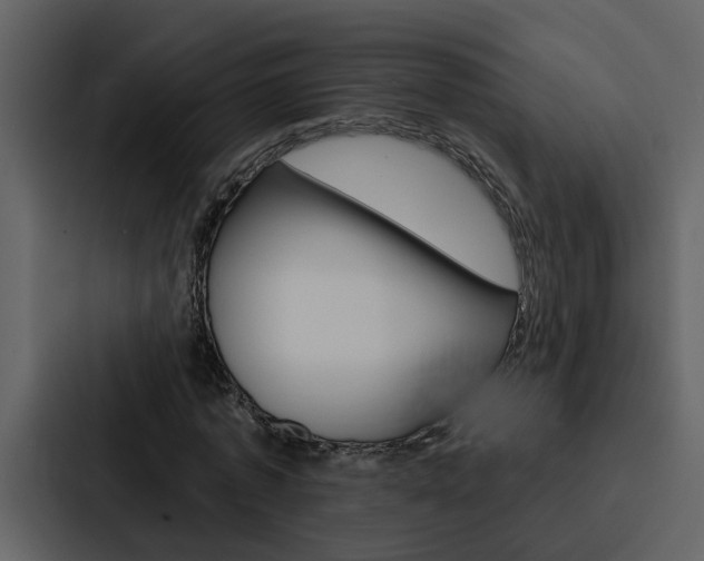 X0000088140773200705141031