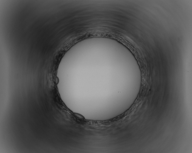 X0000088140774200705141031