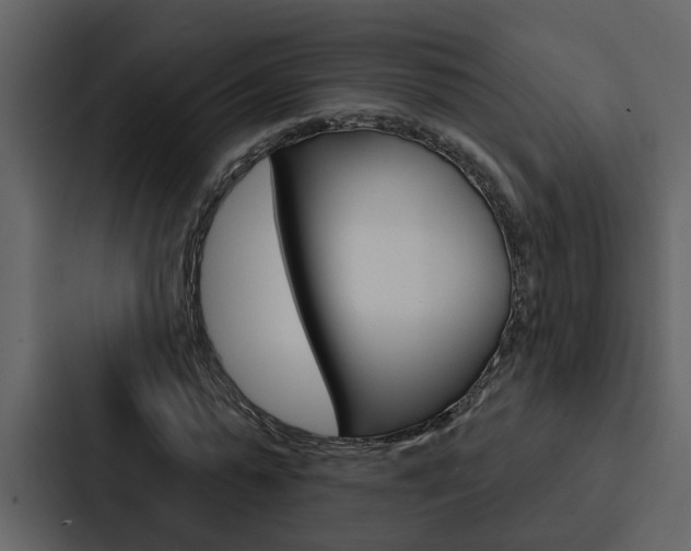 X0000088140775200705141031