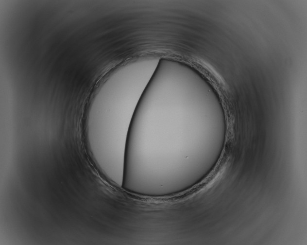 X0000088140777200705141031