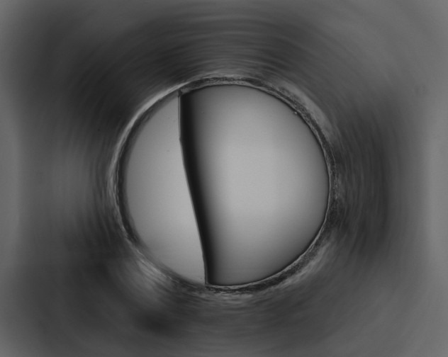 X0000088140779200705141031