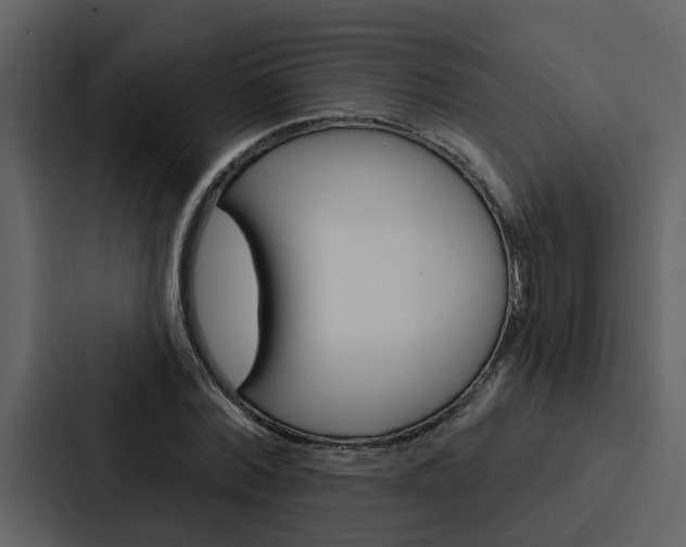 X0000088140780200705141031
