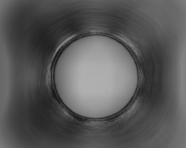 X0000088140782200705141031