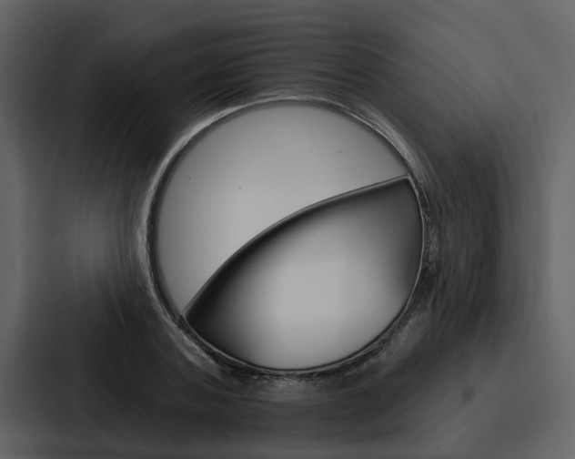 X0000088140787200705141031