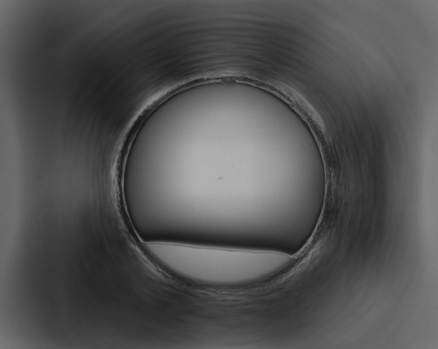 X0000088140789200705141031