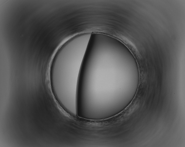 X0000088140792200705141031