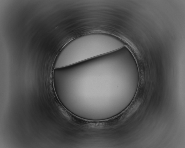 X0000088140793200705141031