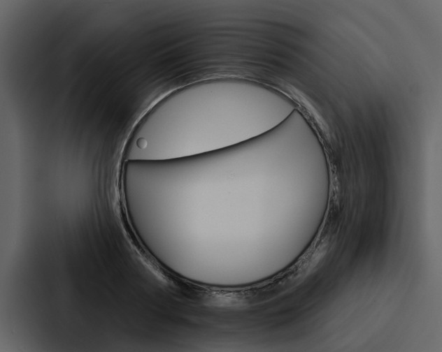 X0000088140794200705141030