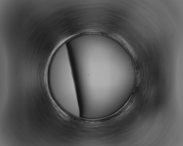 X0000088140795200705141030