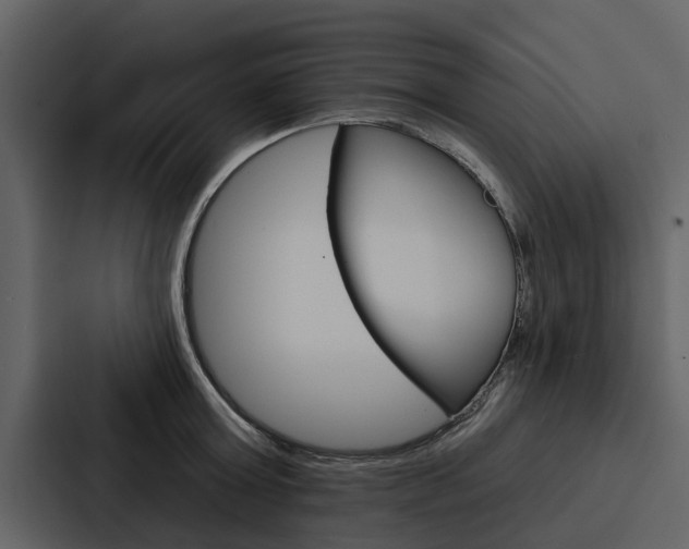 X0000088140803200705141030