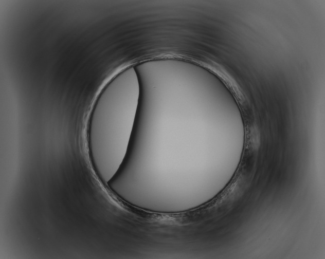 X0000088140806200705141030
