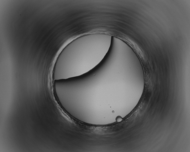 X0000088140808200705141030
