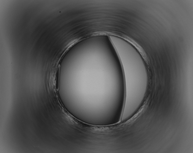 X0000088140809200705141030