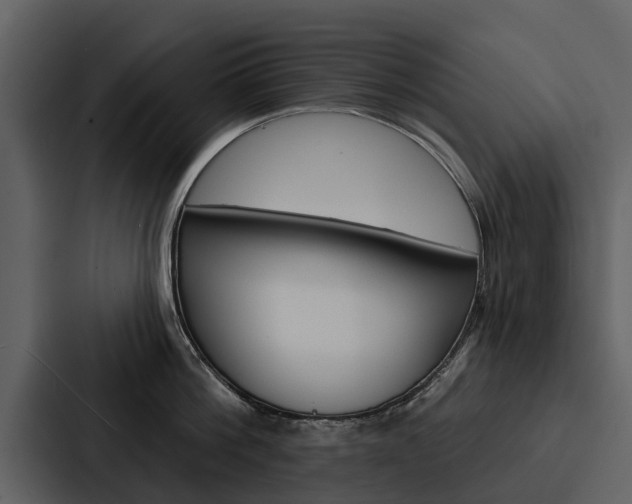 X0000088140812200705141030