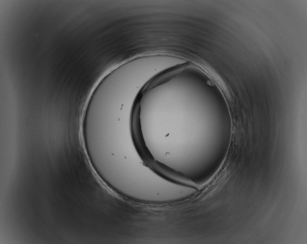 X0000088140813200705141030