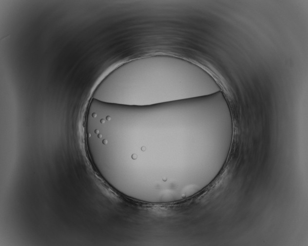 X0000088140814200705141030