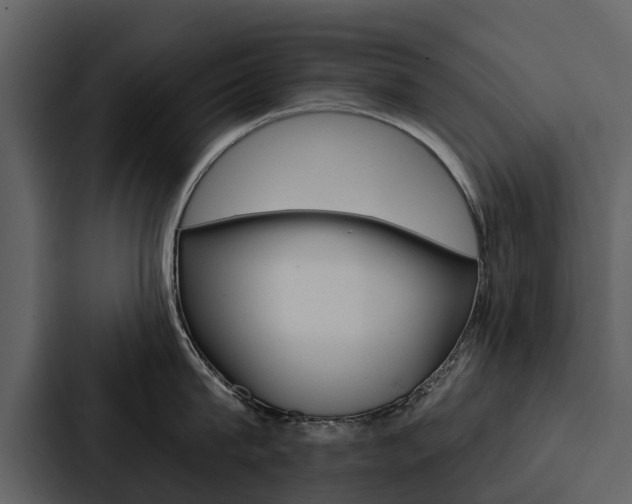 X0000088140815200705141030